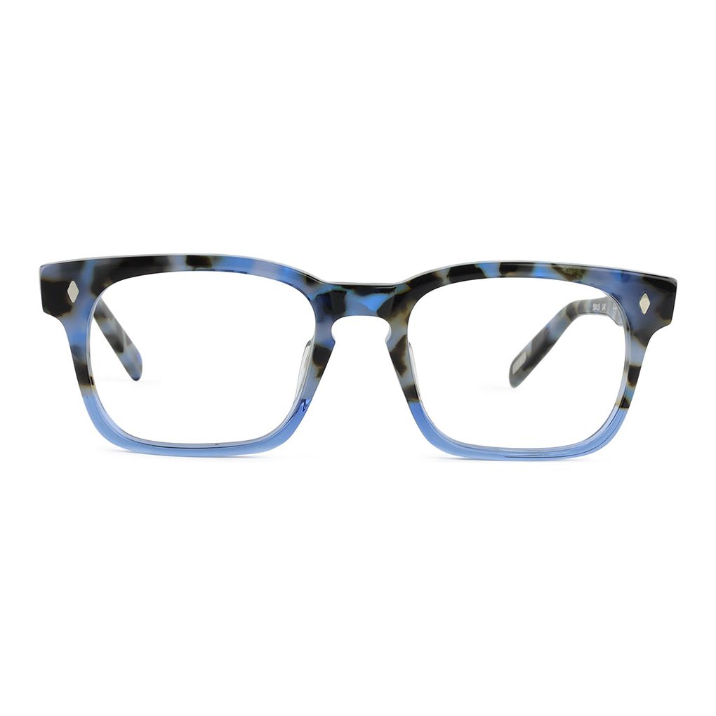 Blue Tortoise / Blue