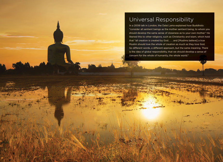 Dalai Lama Book 978-1-64026-162-4 - Biography & Teachings for Spiritual Growth and Meditation Practice
