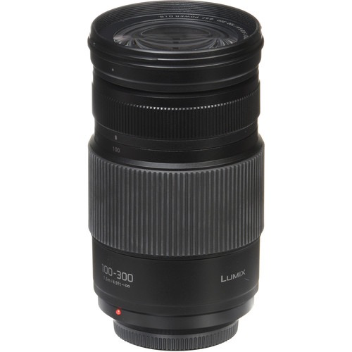 Panasonic Lumix G Vario 100-300mm f/4-5.6 II POWER O.I.S. Telephoto Zoom Lens for Micro Four Thirds Cameras - Perfect for Wildlife, Sports & Travel Photography