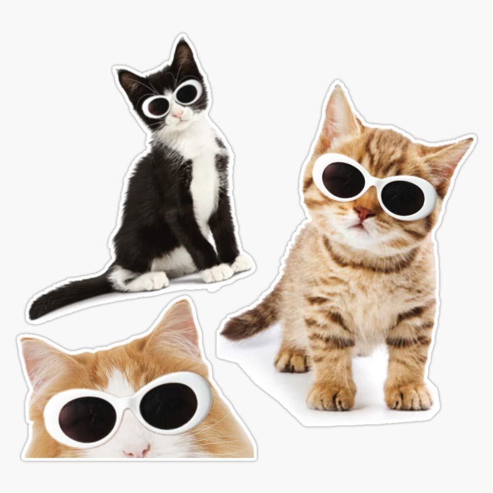 Leyland Designs Kittens with Clout Goggles Vinyl Sticker - 5