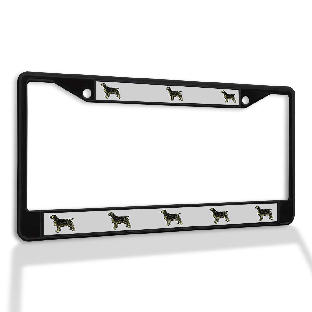 Premium Metal Insert License Plate Frame - Weatherproof & Durable Car Accessory (Black, 2-Hole Design) - Perfect for Protecting License Plates from Rust & Theft | Ideal for Cars, Trucks & SUVs