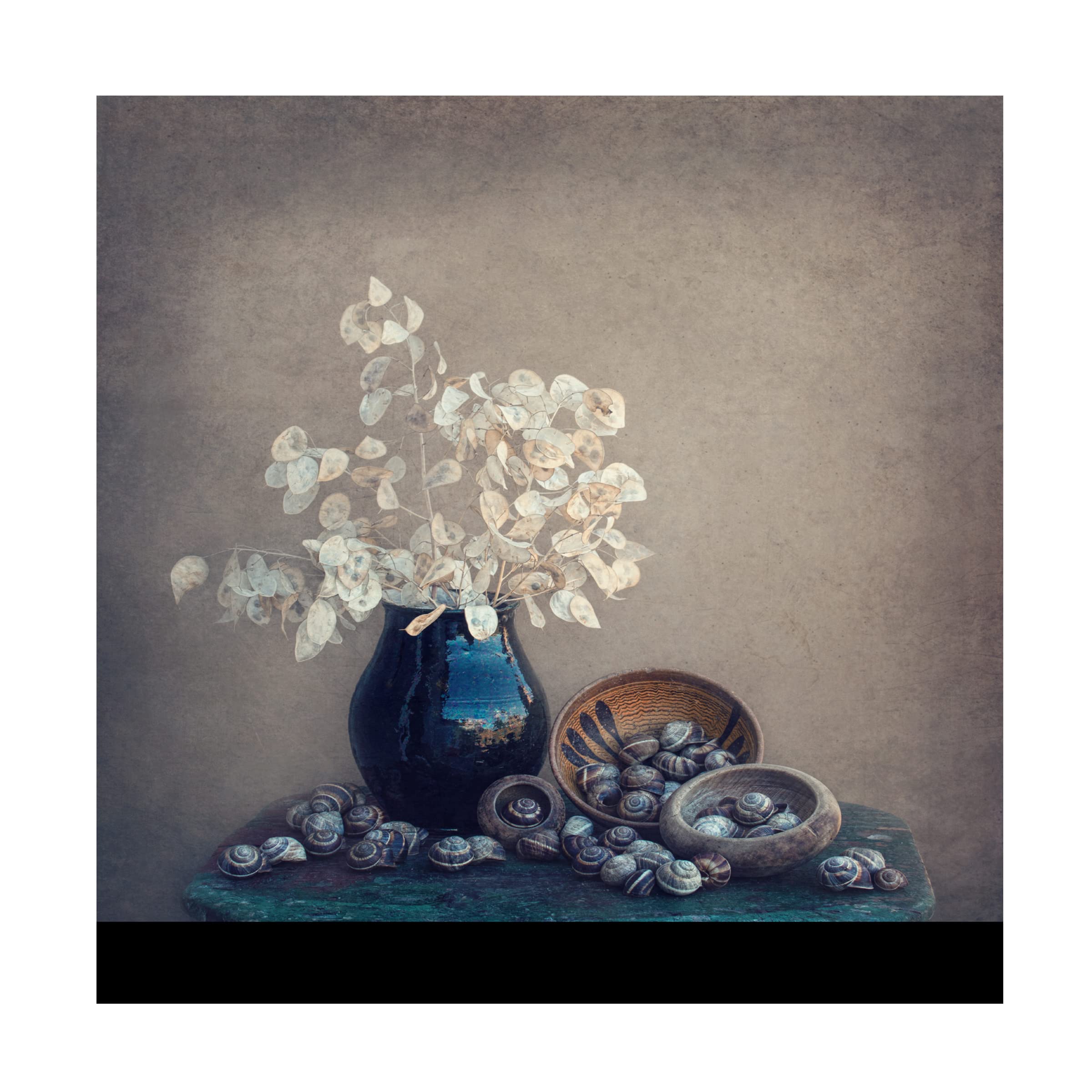 Dimitar Lazarov 'Still Life With A Lunaria And Snails' Canvas Wall Art Print - Vintage Floral Botanical Painting for Living Room, Bedroom & Office Decor