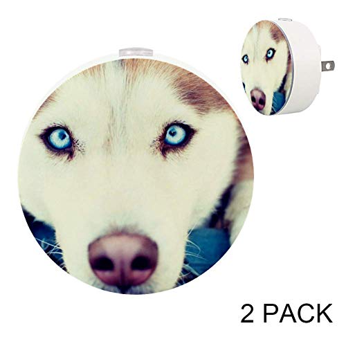 Siberian Husky LED Night Light with Motion Sensor - 2 Pack, Soft Glow for Bedroom, Hallway, Kitchen & Nursery - Perfect for Kids Rooms, Bathroom Safety & Stairway Lighting at Night