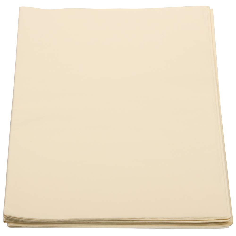 JAM PAPER Ivory Tissue Paper - 480 Sheets per Ream - Perfect for Gift Wrapping, Party Decorations, and Craft Projects