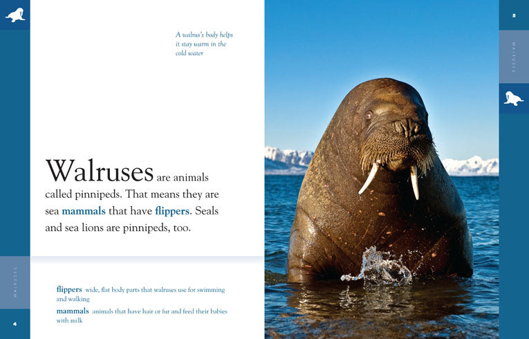 Amazing Animals (2014): Walruses - Educational Wildlife Documentary for Kids & Nature Lovers | Perfect for Classroom Learning & Family Movie Nights
