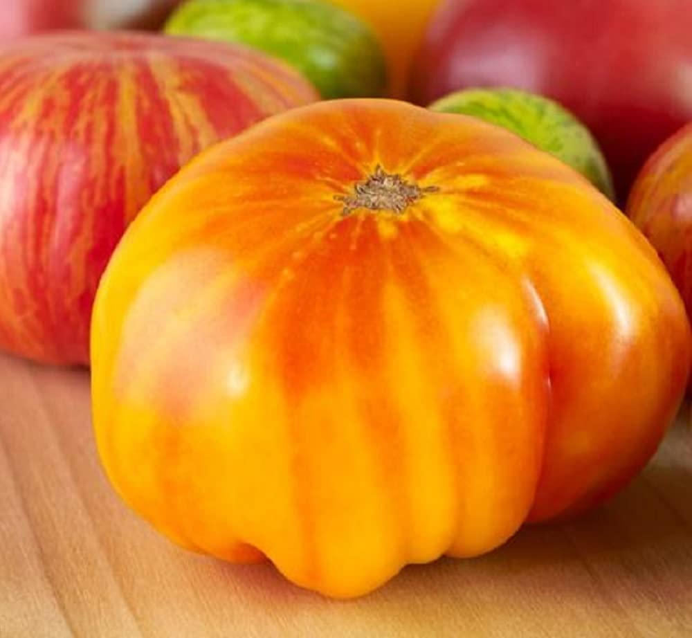 David's Garden Seeds Beefsteak Tomato Hillbilly Indeterminate 25 Non-GMO Heirloom Seeds for Home Gardening, Canning & Fresh Salads