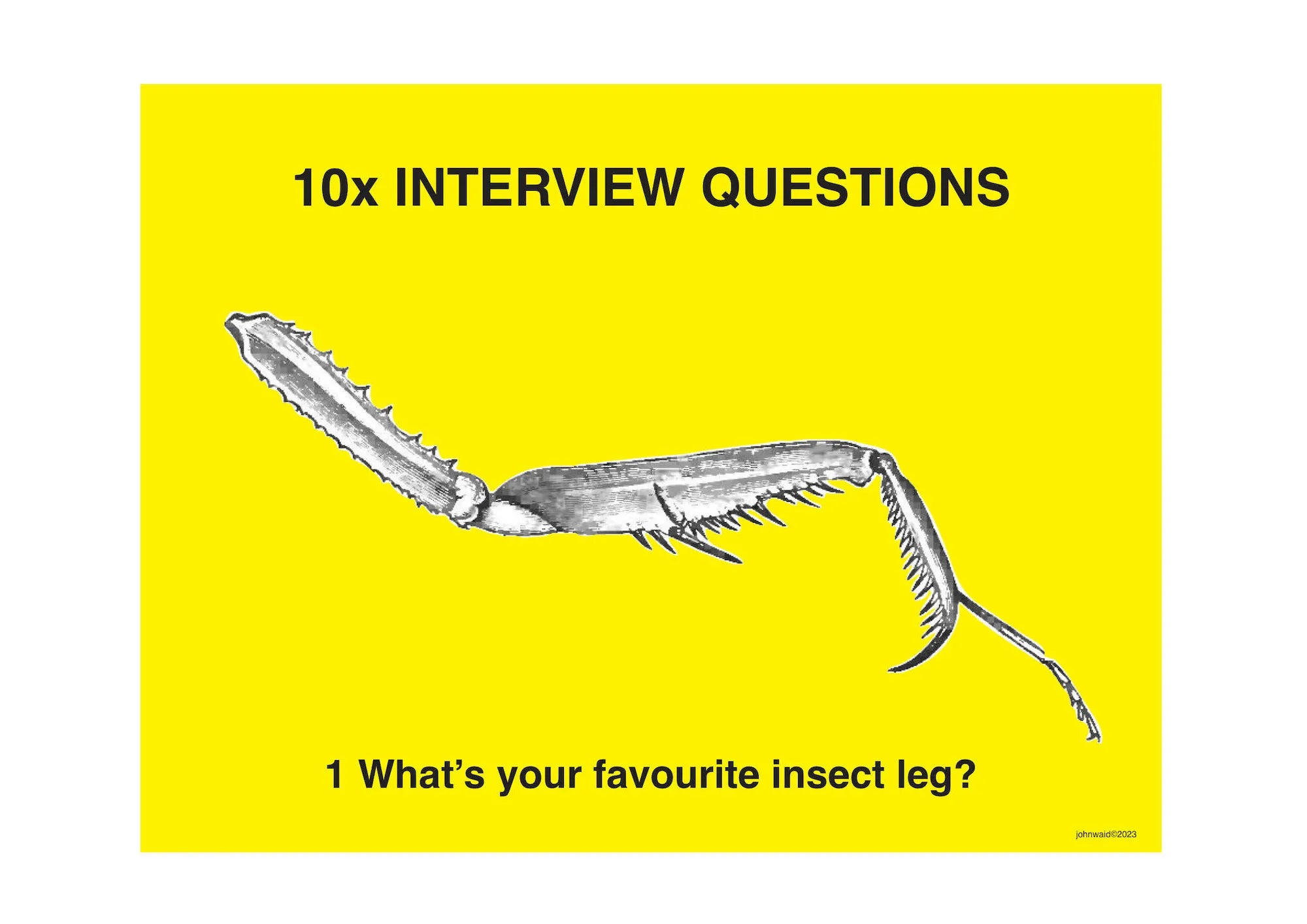 John Waid's Favorite Insect Leg - Unique Collectible for Entomology Enthusiasts | Perfect for Science Classrooms, Nature Displays & Bug Lovers