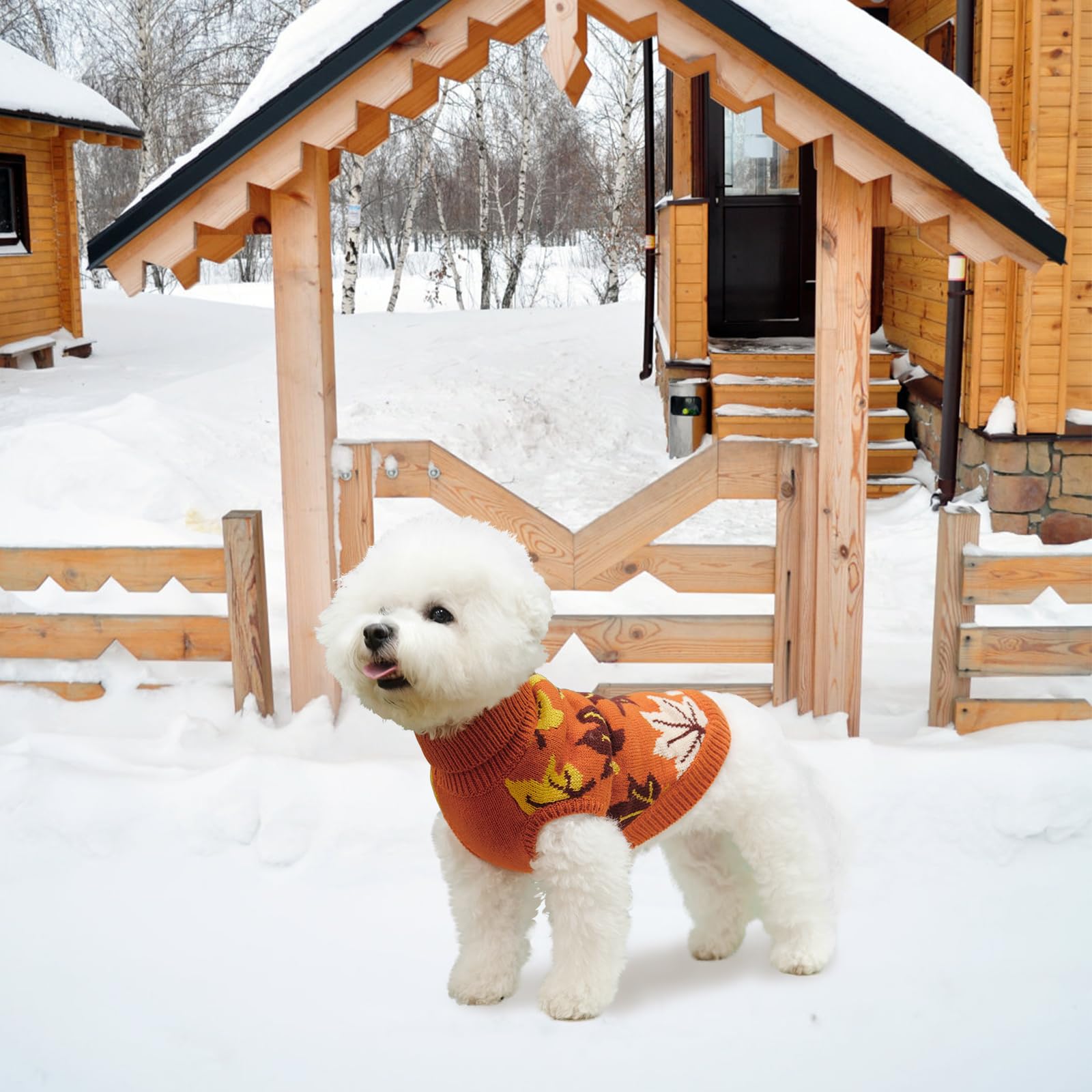 KOOLTAIL Medium Dog Sweater - Warm Knitted Turtleneck Pullover for Cold Weather | Autumn Maple Leaf Pattern Pet Sweater | Winter Clothes for Small Medium Large Dogs & Cats | Perfect for Fall Walks & Indoor Cozy Time (Orange)