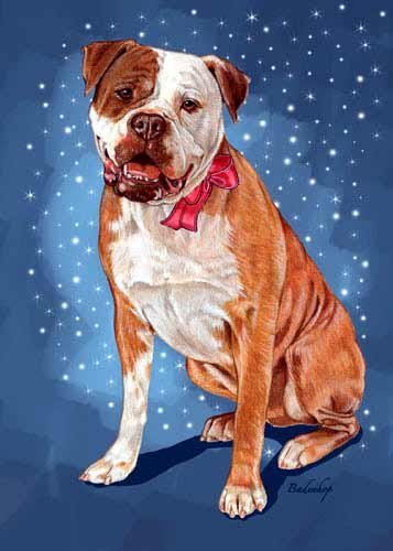 American Bulldog Christmas Cards - Set of 10 Festive Holiday Greeting Cards with Red Envelopes | Cute Dog Lover Gifts for Family & Friends | Perfect for Christmas Wishes, Office Exchange & Holiday Decor