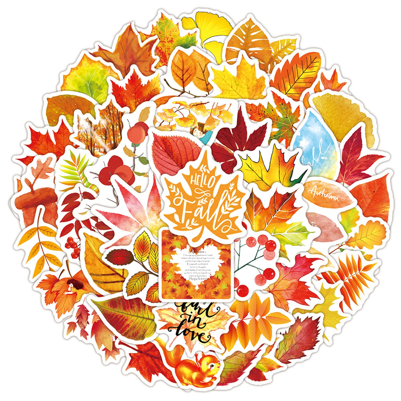 50 Pack Waterproof Fall Stickers - Thanksgiving, Maple Leaf & Harvest Theme - Cute Autumn Stickers for DIY, Scrapbooking, School Projects - Perfect for Kids, Laptop, Luggage & Home Decor