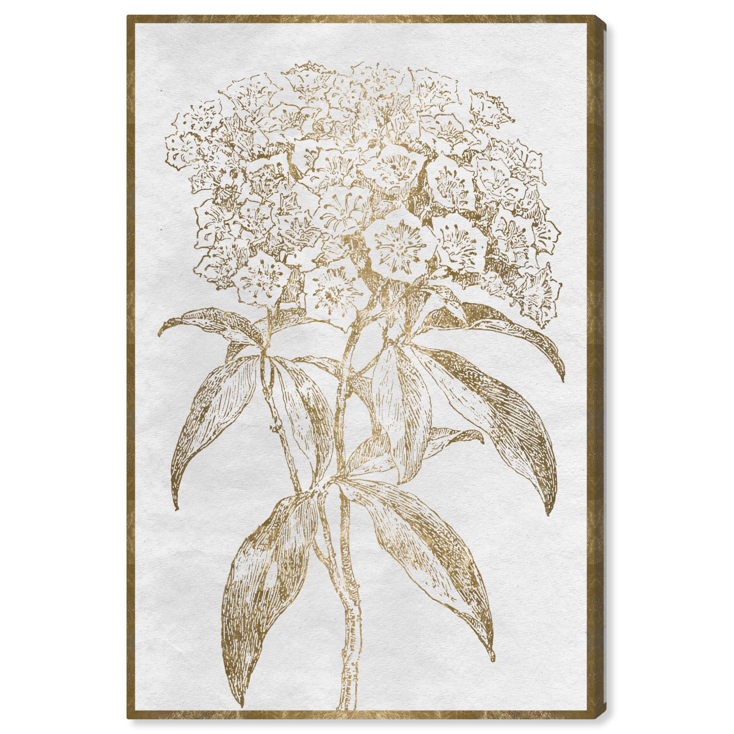 Floral Sketch Border Bold Wall Art Canvas Prints by Oliver Gal Artist Co. - Perfect for Living Room, Bedroom & Office Decor