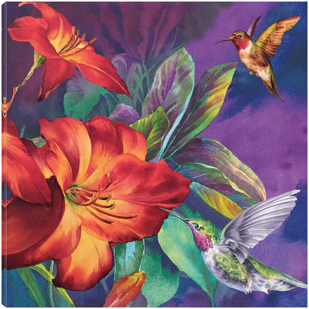 Hummingbirds Feeding Fine Art Canvas Print by Bill Jackson - 22x22 Inches Wall Decor for Living Room, Bedroom, Office & More - Ready to Hang - Perfect for Nature Lovers & Home Decor