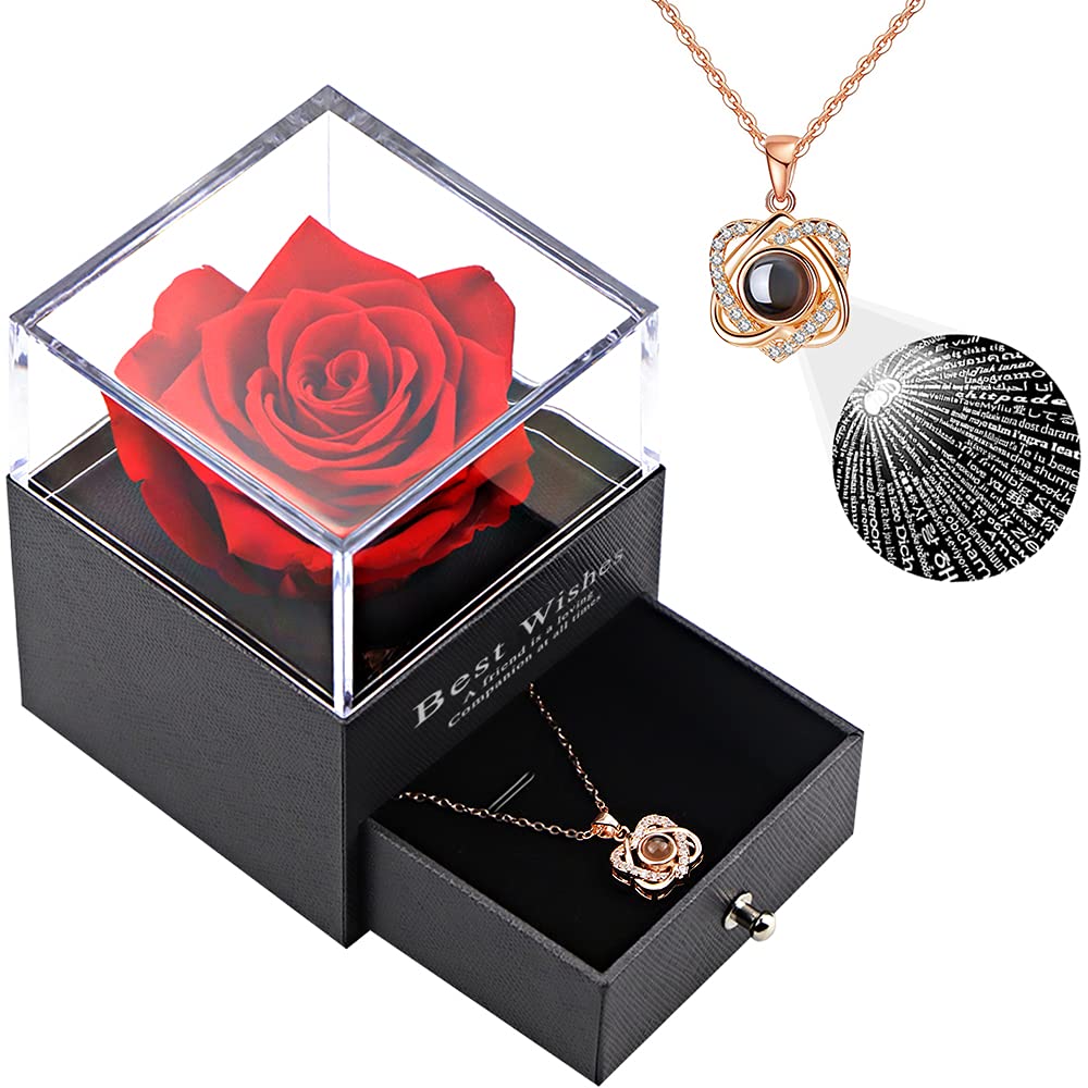 Vanleonet Real Preserved Rose Heart Necklace - Romantic Gift for Women, Mom, Girlfriend, Wife, Best Friend - Valentine's Day, Birthday, Anniversary, Christmas Present - Perfect for Date Nights, Proposals & Special Occasions