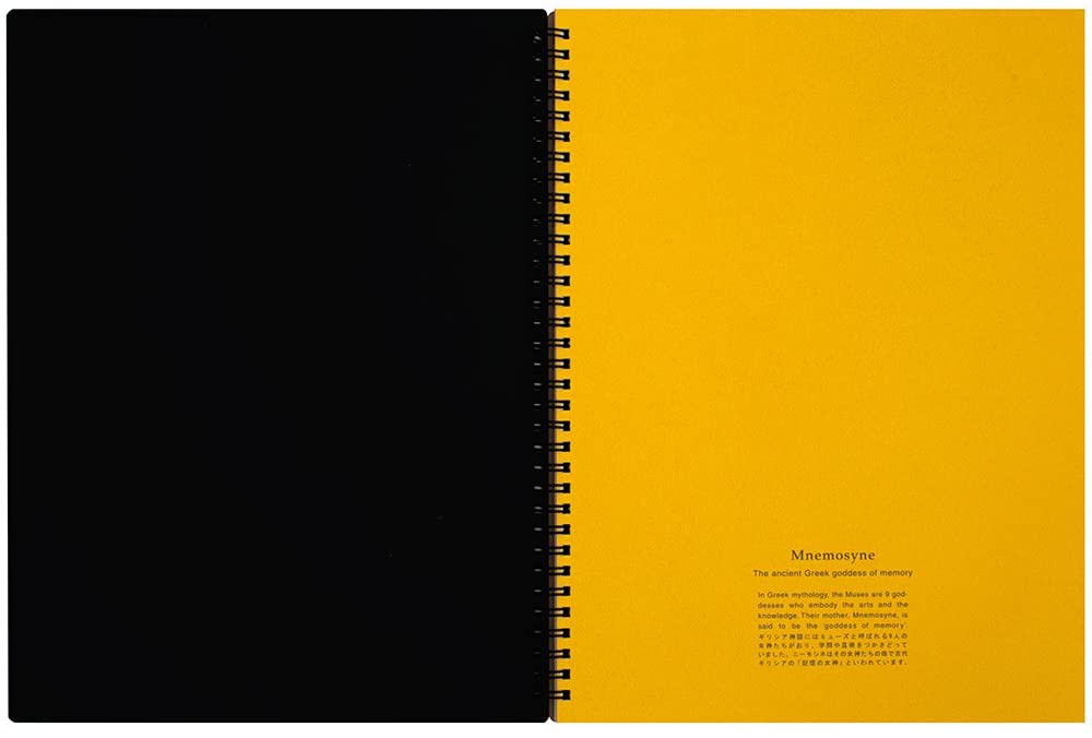 Mnemosyne N199A Spiral A4 Lined Notebook - Premium College Ruled Paper for School, Office & Journaling - 100 Sheets, 5mm Grid, Durable Cover for Students & Professionals