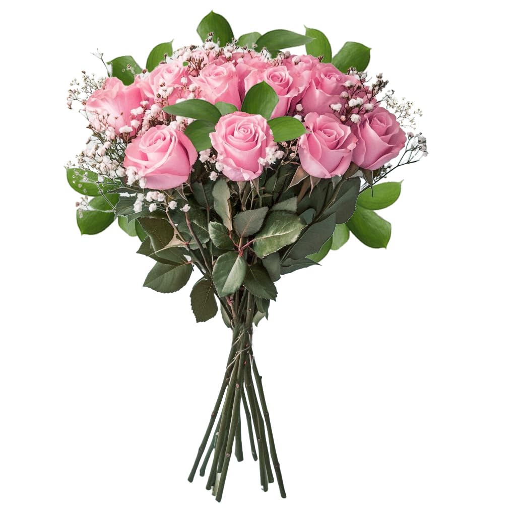 Fresh Pink Roses Bouquet - Dozen Long Stem Roses with Fillers for Mother's Day, Wedding, Anniversary, Birthday, Bridal Shower | Perfect Floral Gift & Home Decor Centerpiece