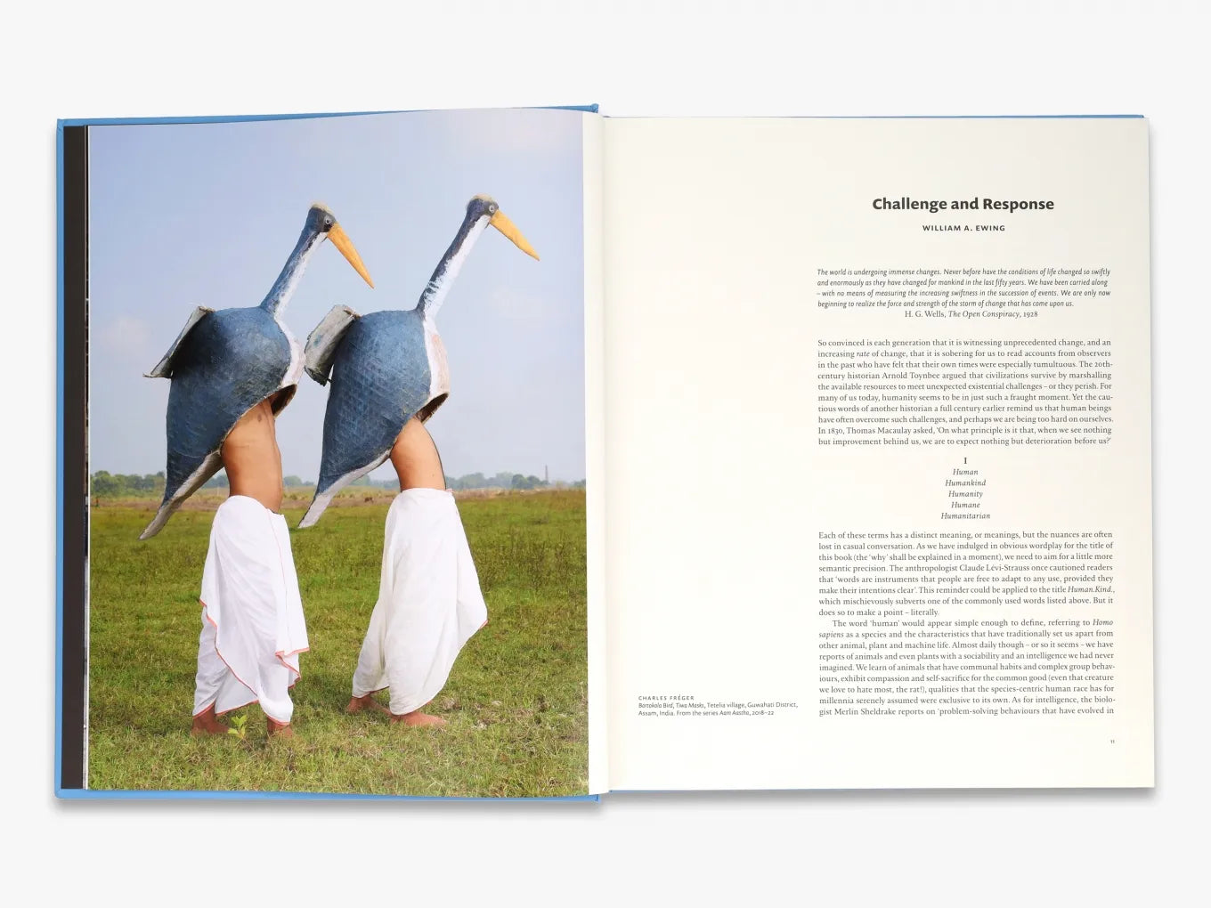 Human.Kind | Ethical & Sustainable Fashion for Women & Men | Perfect for Casual Wear, Work & Eco-Friendly Lifestyle