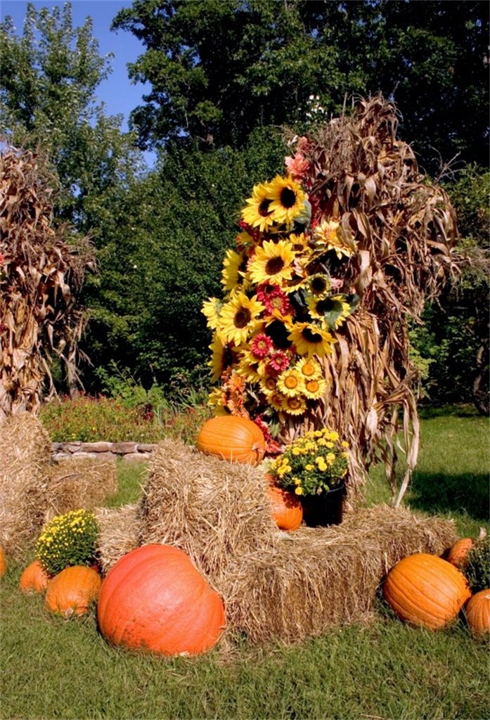 5x7ft Autumn Harvest Photography Backdrop - Nature Sunny Day Pumpkins Sunflowers Background for Kids & Adults Portrait Studio Props, Video Shoot Drape Wallpaper - Perfect for Fall Themed Photo Sessions, Seasonal Decor, and Social Media Content