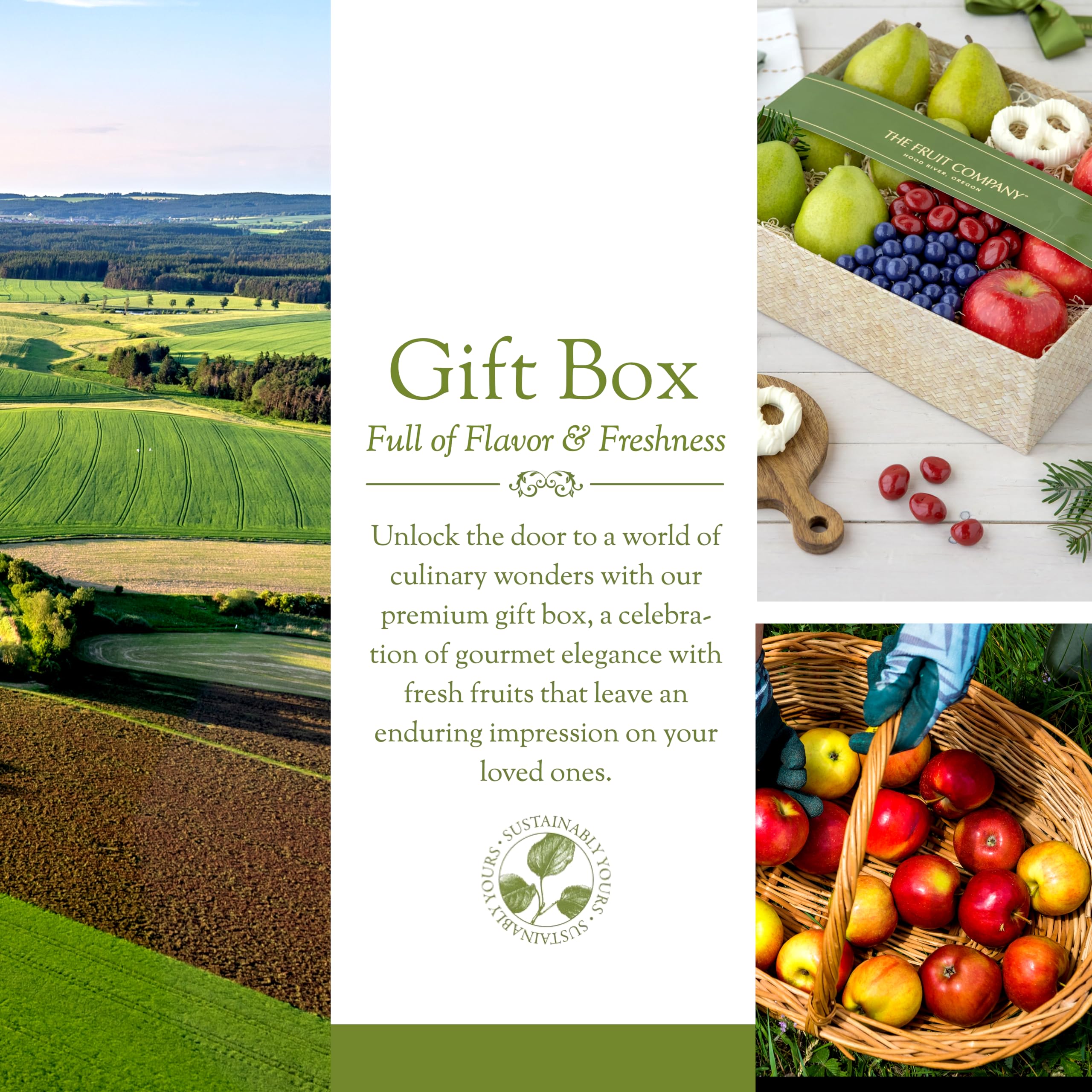 Premium Oregon Fruit & Chocolate Gift Box - Fresh Fruits & Gourmet Chocolates for Birthdays, Anniversaries | Luxury Corporate Gifts & Holiday Present Ideas