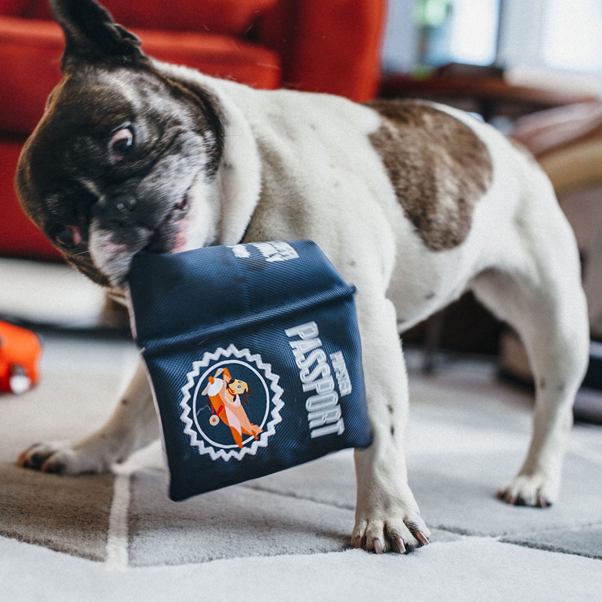 P.L.A.Y. Globetrotter Toy Passport for Dogs - Durable Chew Toy with Unique Travel Design - Perfect for Travel Lovers & Adventure Puppies