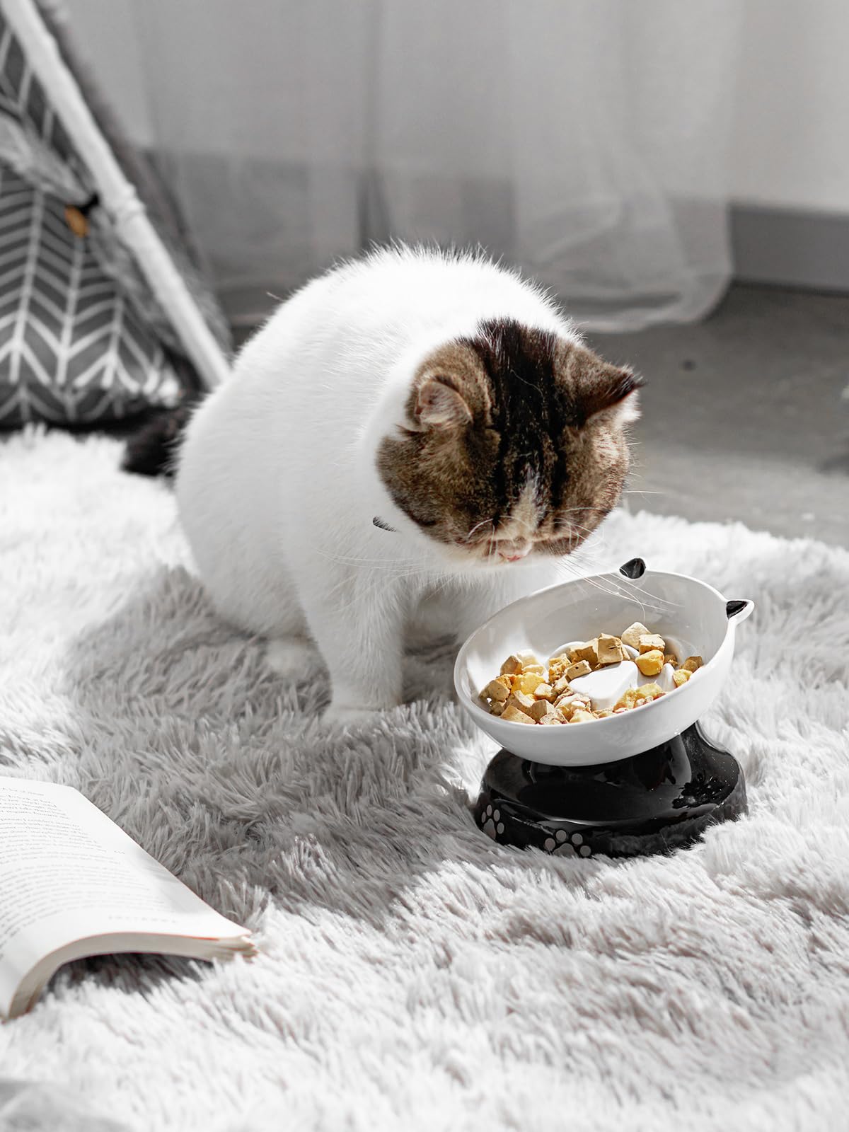 Y YHY Ceramic Cat Slow Feeder Bowl - Elevated Tilted Design for Dry & Wet Food - Prevents Black Chin in Cats & Dogs - Perfect for Portion Control & Digestive Health - Ideal for Kittens, Adult Cats & Small Dogs