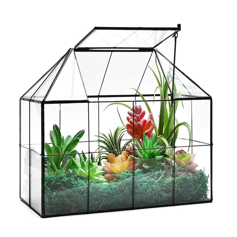 Large Glass Terrarium Planter for Succulents - 9.8