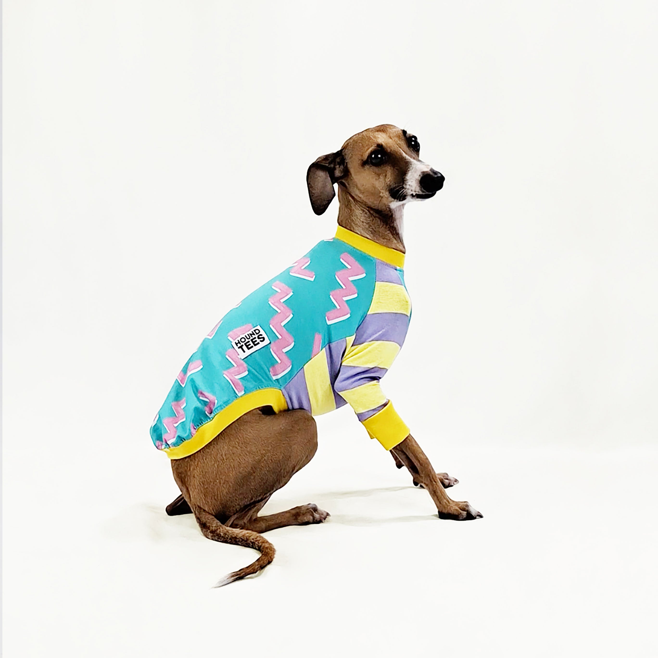 Italian Greyhound Long Sleeve Dog Shirt - Comfortable Hound Tee for Small Dogs - Perfect for Walks, Pet Photos & Casual Outings