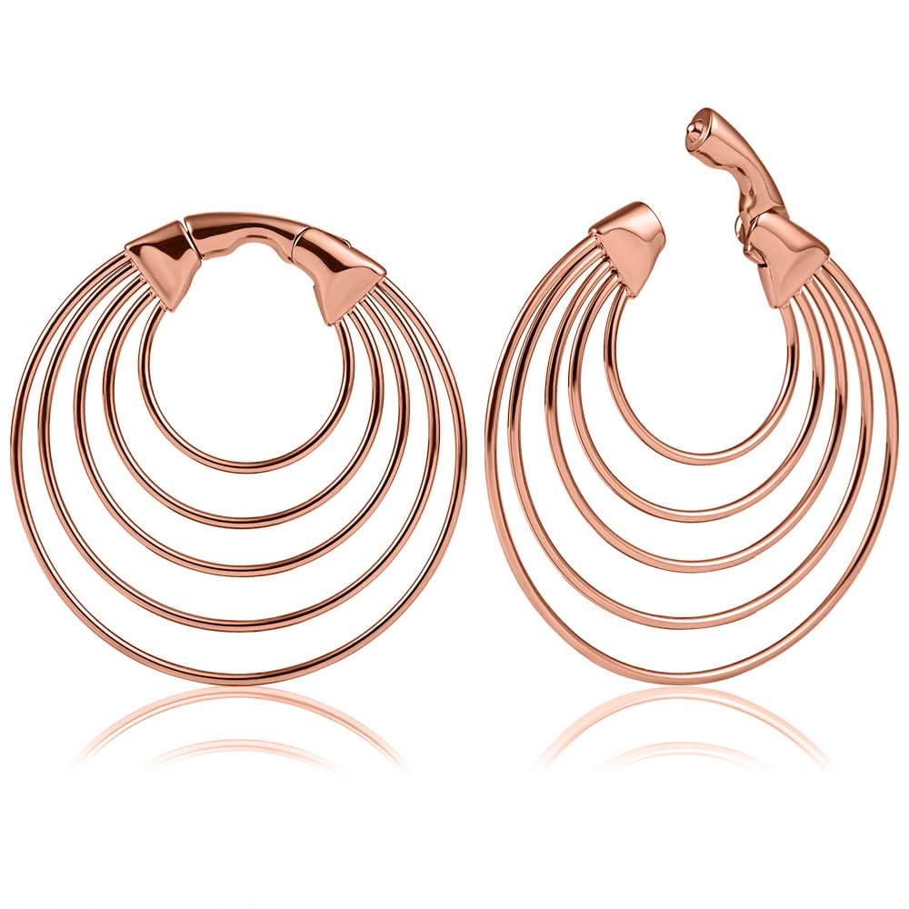 DOEARKO 2PCS 316L Stainless Steel Ear Gauges Hangers Weights - Hypoallergenic Body Jewelry for Stretched Ears, Plugs & Tunnels - Perfect for Body Piercing, Punk & Goth Fashion