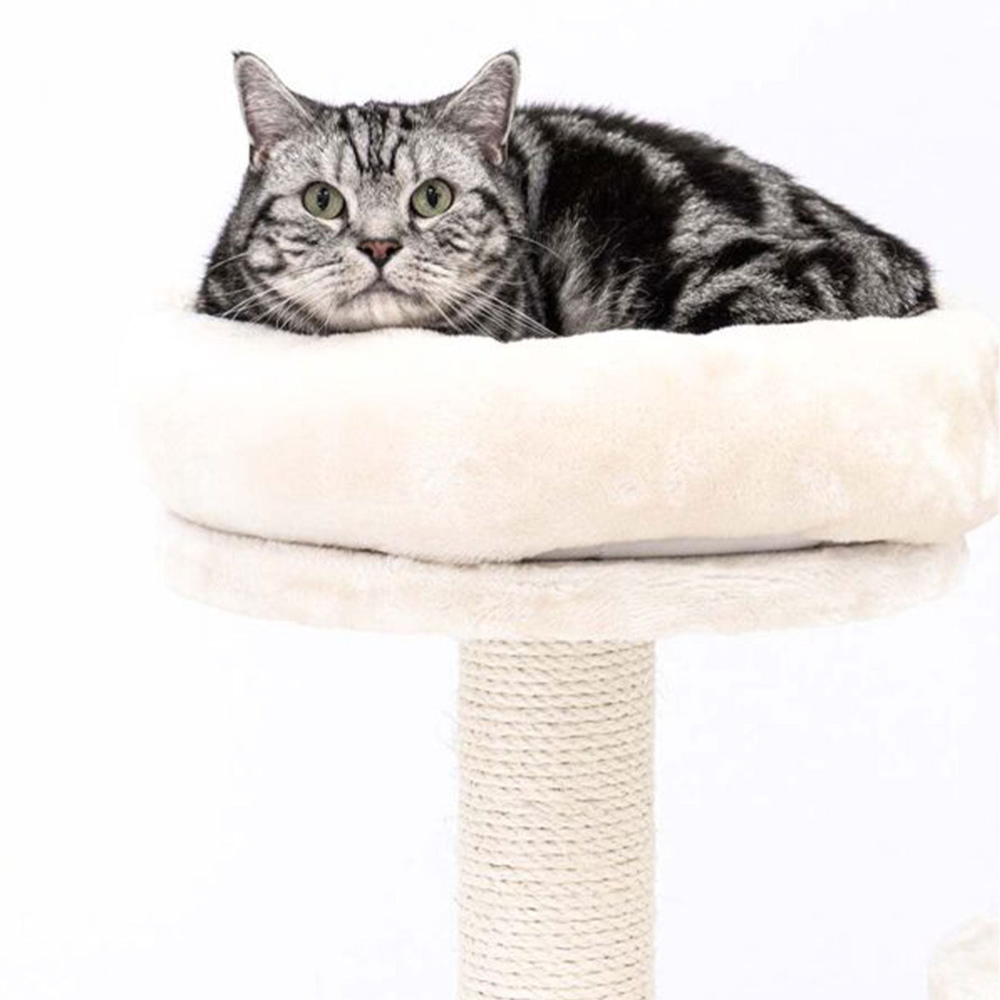Little Rebels Reno 110cm Cat Tree - Multi-Level Cat Tower with Scratching Posts & Perches for Indoor Cats | Perfect for Play, Rest & Climbing in Small Spaces