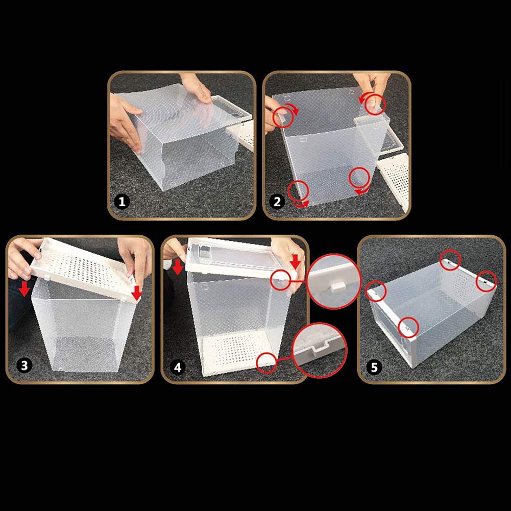 Stackable Shoe Storage Box - Clear & White Interlocking Shoe Organizer with Secure Lid | Perfect for Closet, Bedroom & Entryway Organization (Single Box)