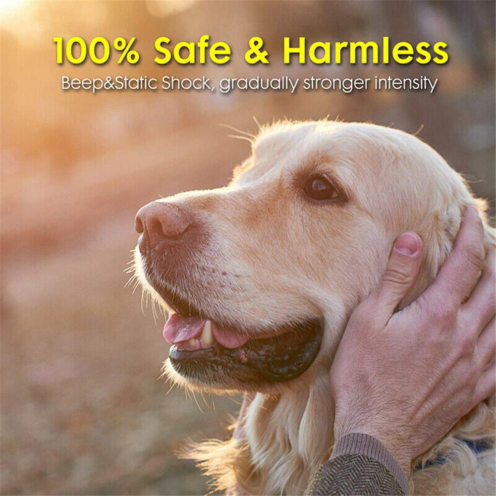 Wireless Dog Fence System - Safe & Effective Electric Pet Containment with Waterproof Collar, Adjustable Range & Distance Display - Beep & Shock Modes for 2 Dogs - Perfect for Yard Training & Outdoor Pet Safety