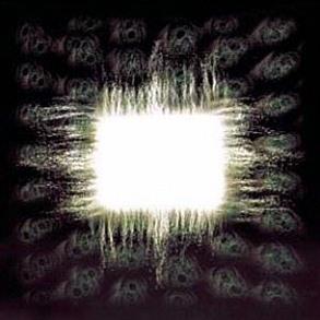 Tool - Aenima CD | Alternative Rock Music Album | Perfect for Collectors & Music Enthusiasts | Great for Home, Car, or Gift