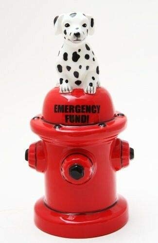 6.50 Inch Ceramic Emergency Fund Savings Piggy Bank - Money Box for Kids & Adults | Home Decor Gift for Birthday, Housewarming & Financial Planning