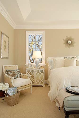 THE ONE Paint & Primer: Most Durable All-in-One Interior & Exterior Paint for Furniture, Cabinets, Doors, Walls - Fast Drying Matte Finish (1 Liter, Cream) - Perfect for Kitchen, Bathroom, DIY Home Renovation Projects