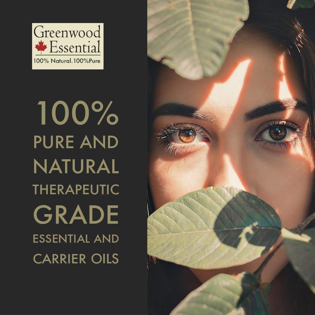 Pure Cold Pressed Green Tea Oil (Camellia Sinensis) 30ml (1 oz) - 100% Natural Essential Oil for Skin Care, Aromatherapy & Hair Treatment | USDA Certified Organic | Vegan & Cruelty-Free | Perfect for Massage, DIY Beauty & Relaxation