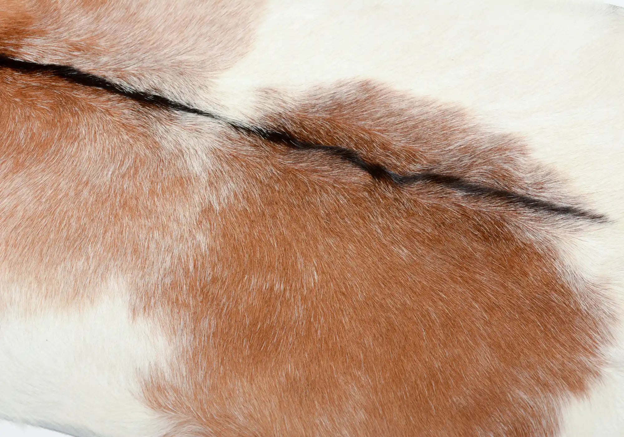 Natural Brown & White Goat Skin Leather with Black Spine - Premium Quality for DIY Crafts, Upholstery, and Fashion Accessories