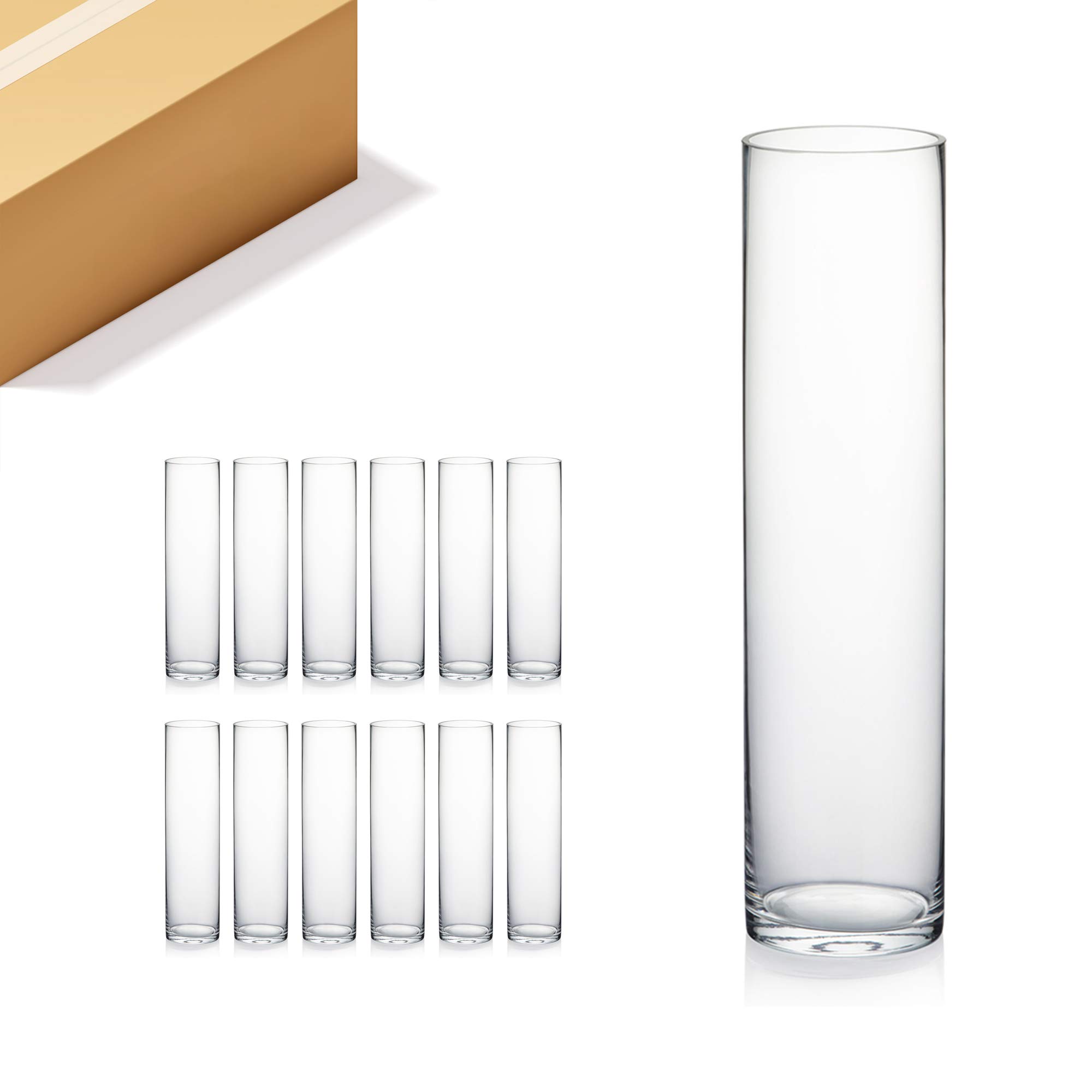 Premium Clear Cylinder Glass Vases - 3