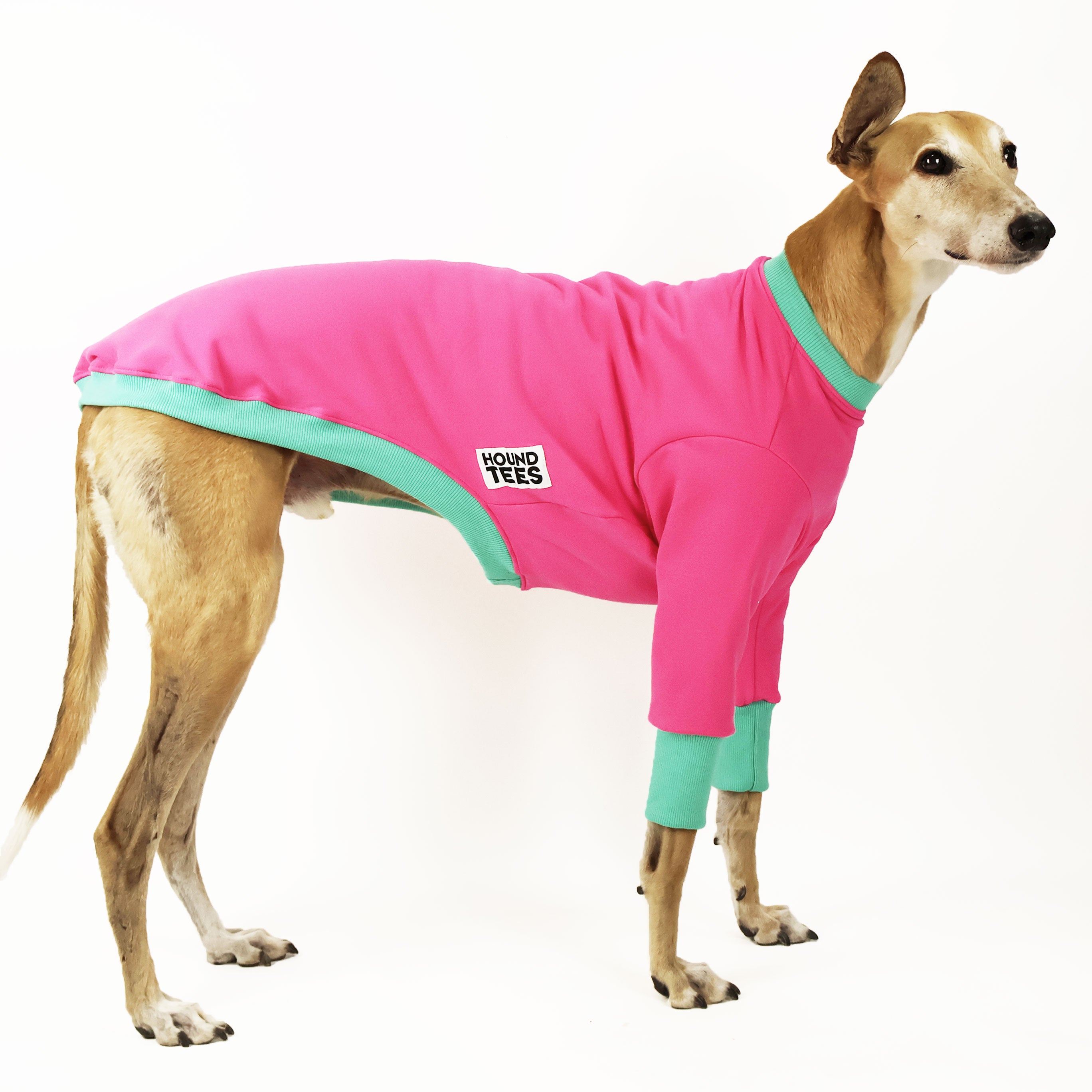 Stylish Greyhound Dog Sweater - Cozy & Warm Knit Pullover for Greyhounds - Perfect for Winter Walks & Indoor Lounging