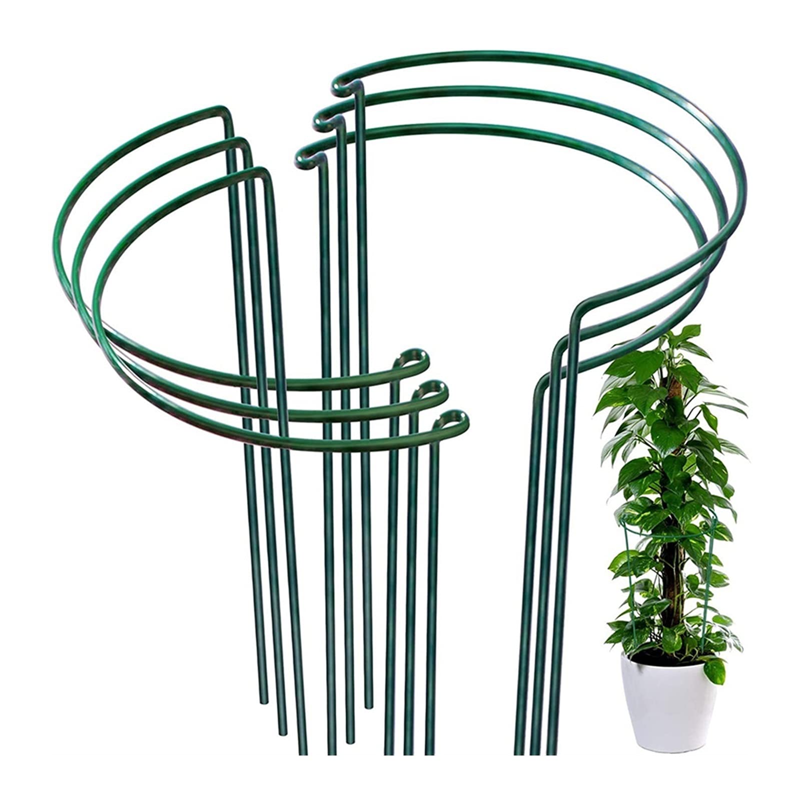 6-Pack Half Round Metal Garden Plant Support Stakes - Green Climbing Trellis for Vines, Flowers & Vegetables - Easy to Assemble 21 x 35cm Plant Support Rings - Perfect for Garden Borders, Raised Beds & Outdoor Decor