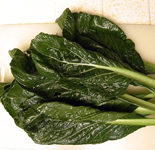 Komatsuna Oriental Mustard Spinach Seeds (25-Pack) - Perfect for Stir-Fry, Pickling & Boiling - Great Taste & Easy to Grow - Ideal for Home Gardens & Asian Cuisine