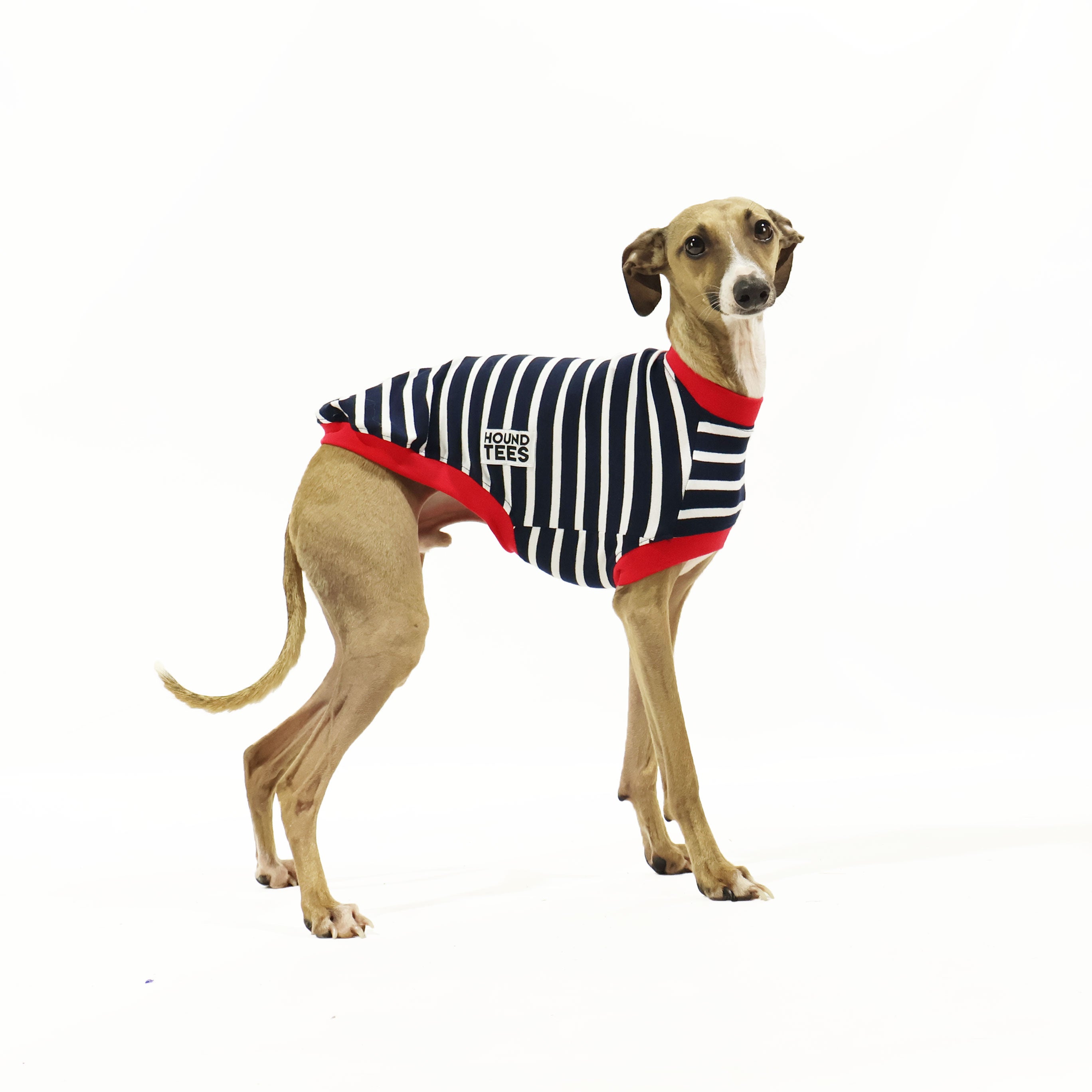 Aussie Italian Greyhound Sleeveless Dog T-Shirt - Comfortable Pet Apparel for Casual Wear & Outdoor Adventures