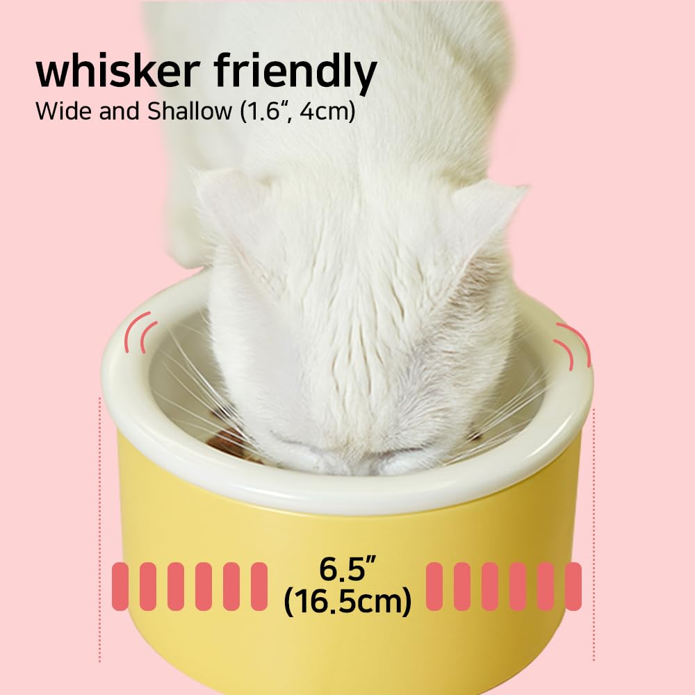 Elevated Cat and Dog Bowls - 6.5