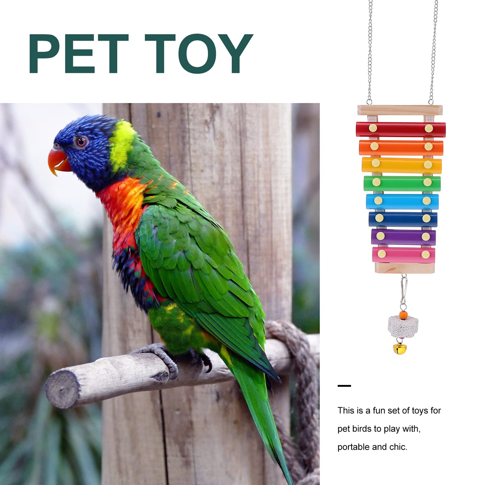 Balacoo 3-Piece Stainless Steel Bird Swing Toy Set - Chicken Swing, Parrot Chewing Toy & Pecking Stand for Cage - Durable Pet Toys for Parrots, Chickens & Poultry - Perfect for Play, Exercise & Mental Stimulation