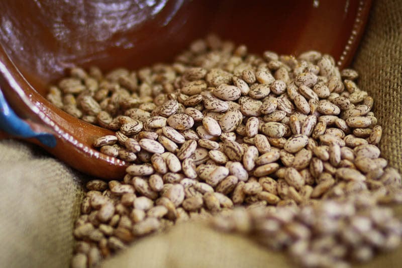 Organic Rancho Gordo Pinto Beans 1 lb | Non-GMO, Heirloom Beans for Cooking | Perfect for Chili, Soups, and Mexican Dishes