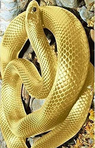 300-Piece Golden Snake Wooden Jigsaw Puzzle for Adults - Challenging Brain Teaser Game, Home Decor & Wall Art - Perfect for Relaxation, Stress Relief & Family Game Night