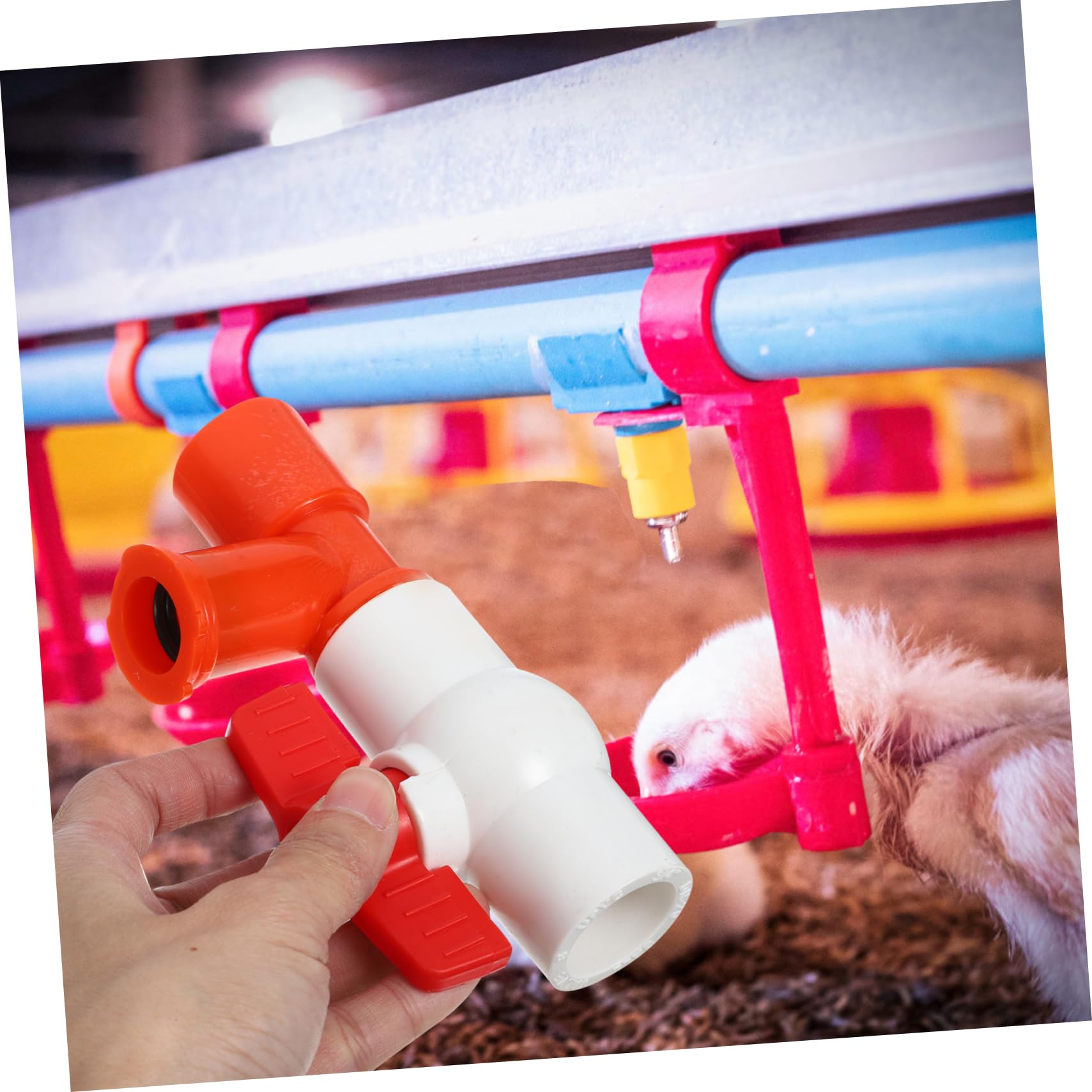 CIYODO Poultry Farm Water System: End Valve Pressure Regulator with Water Level Display & Hose for Efficient Livestock Hydration