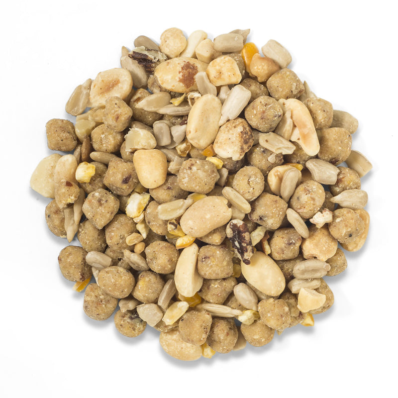 Premium Duncraft Bluebird Nut Feast Wild Bird Food - High Protein Bird Seed for Bluebirds & Songbirds - Ideal for Backyard Bird Feeding & Wildlife Attraction