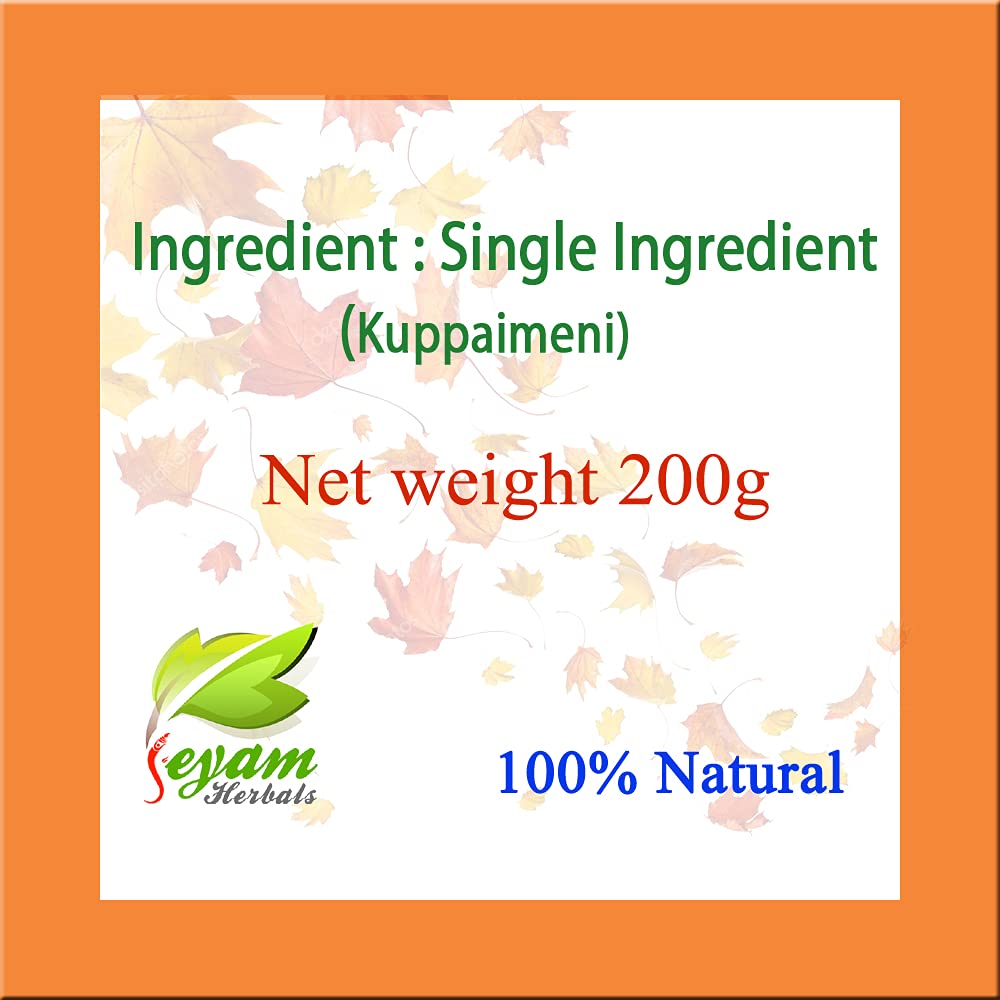 JEYAM HERBALS Kuppaimeni Powder (Acalypha Indica) | 100% Natural Indian Nettle Powder for Skin Care & Unwanted Hair Removal | Harita Manjari | Indian Mercury | 100g | Perfect for DIY Beauty Treatments & Ayurvedic Remedies