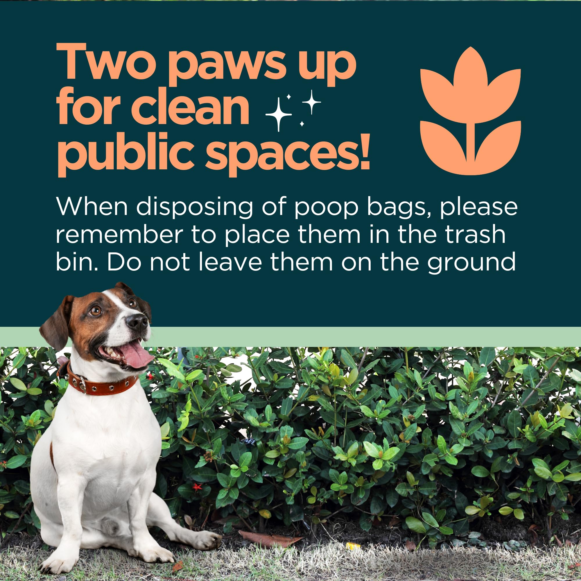The Original Poop Bags® - USDA Certified Biodegradable Dog Waste Bags (960 Count) | Orange Scented, 38% Plant-Based, Extra Thick & Leak-Proof | Perfect for Daily Dog Walks, Park Visits & Backyard Cleanup