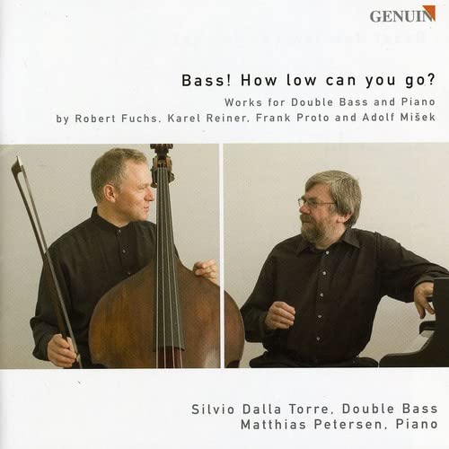 Bass: How Low Can You Go - Premium Bass Boosters for Car Audio & Home Theater Systems | Enhance Your Music Experience