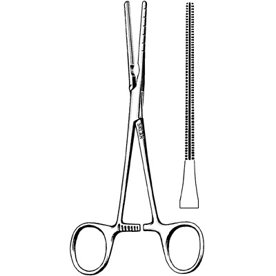 Cooley Multi-Purpose Clamp 6.5-Inch - Heavy Duty Spring Clamp for Woodworking, DIY Projects, and Home Improvement - Perfect for Crafts, Photo Backdrops, and Workshop Use